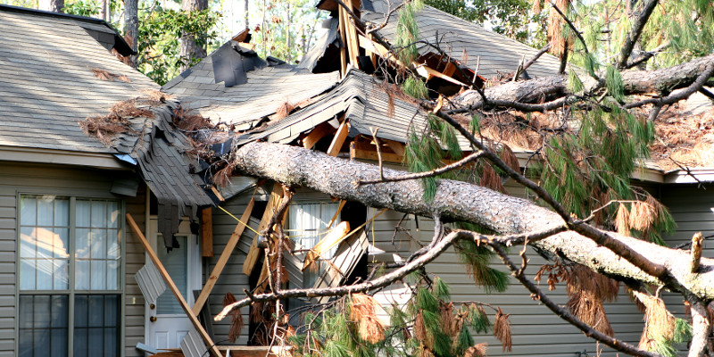 Storm Damage in Salisbury, North Carolina